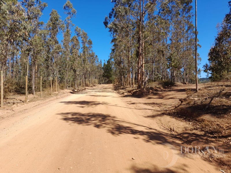 Se vende Parcela en Pichilemu