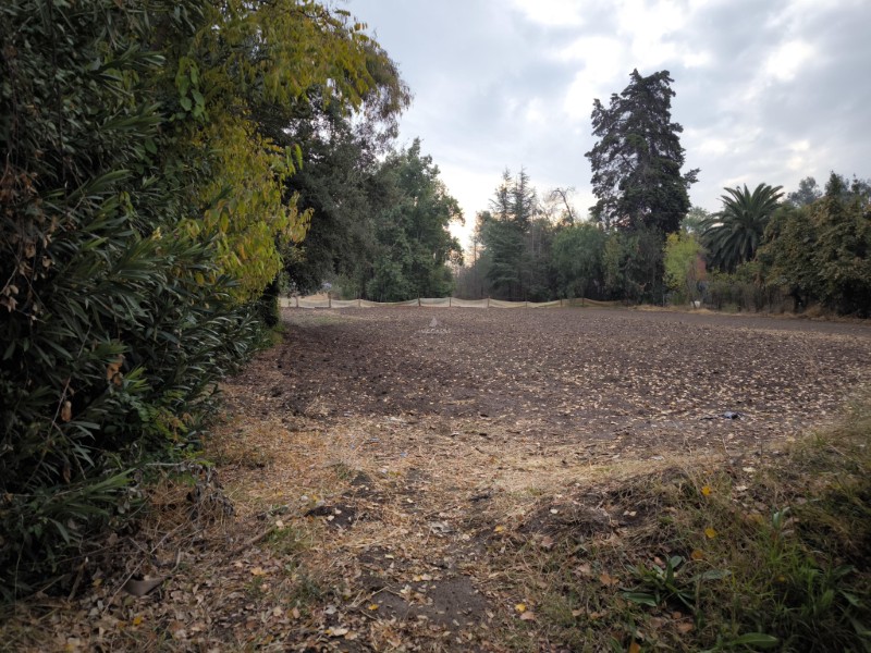 Gran Terreno Colina Sta Luisa