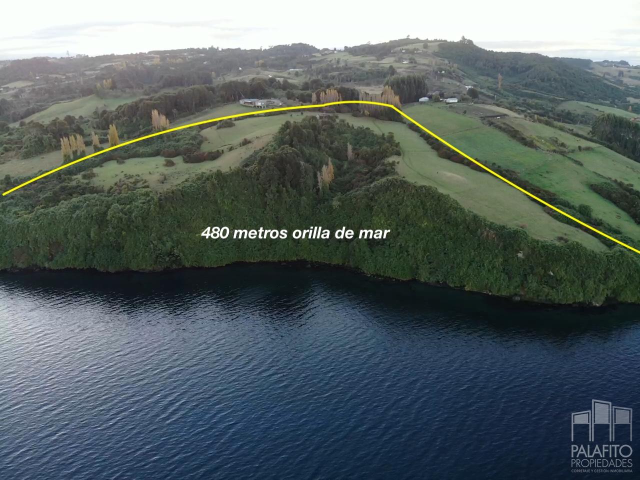 campo 5,9 ha orilla de mar, Peninsula de Rilan, Castro.