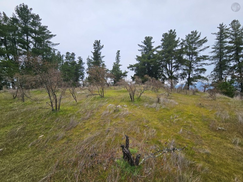 En venta hermosa parcela de 5000m2, loteo El Peral