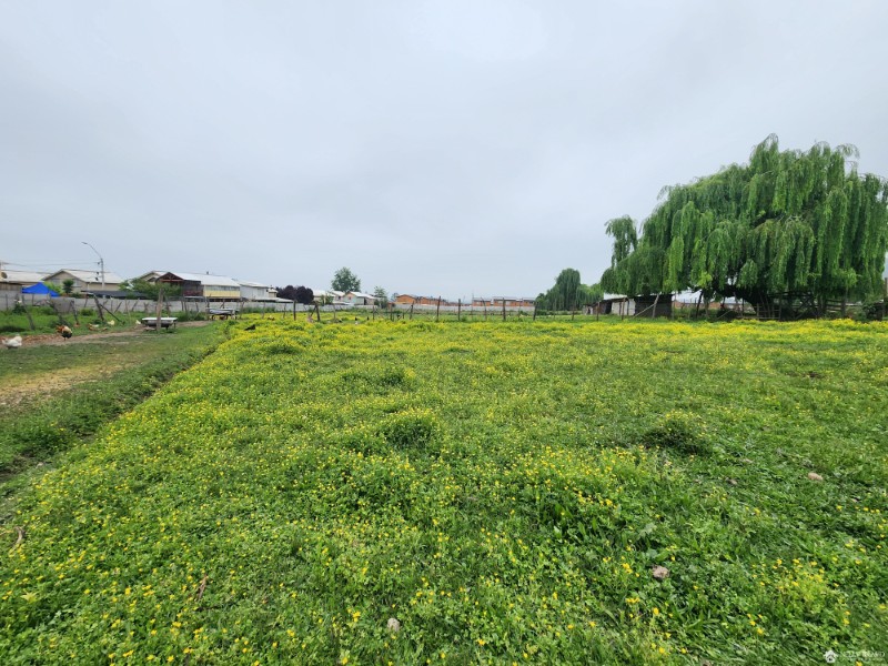 Se vende Terreno de 10.600 m2 en Machali