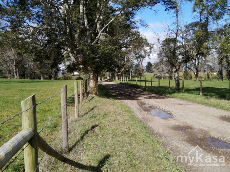 VENTA PARCELAS DESDE  10.000 M2 CON CREDITO DIRECTO