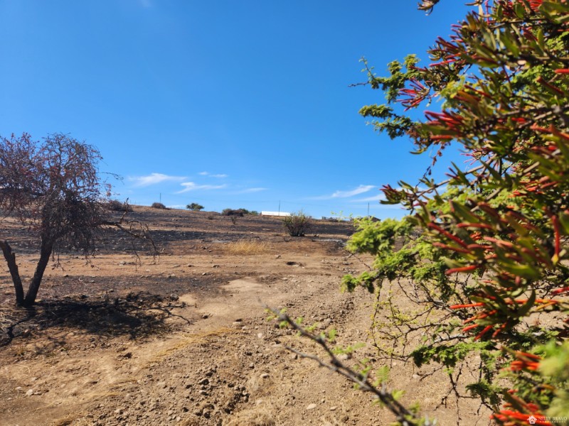 Se vende Parcela en Sector San Miguel, La Estrella