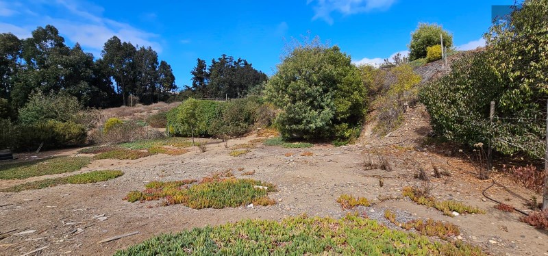 Concón, Parcelas 1450 M2 a 3 min de la rotonda, rol propio y agua