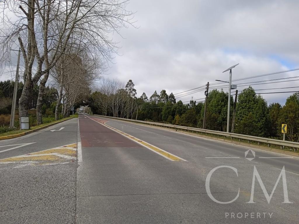 10 ha en sector cruce a las lomas