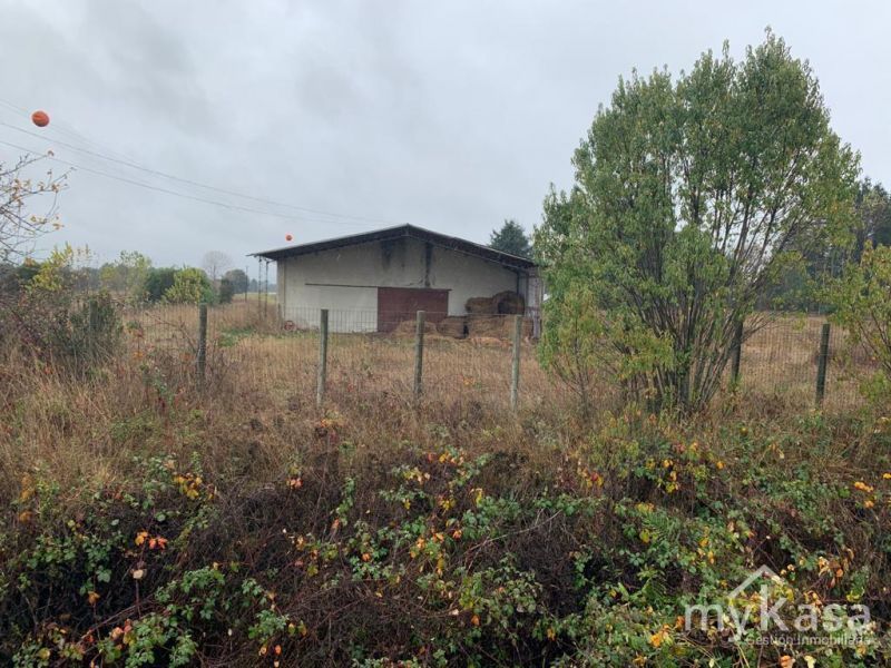 TERRENO URBANO DE 9.500 M2. FRUTILLAR