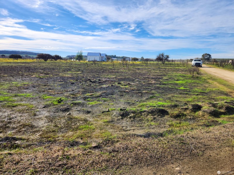 Se vende Terreno de 5.000 m2 sector Las Damas, comuna de la Estrella