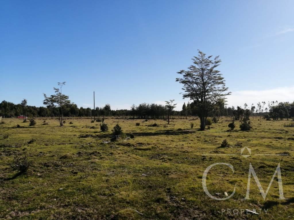 Se venden parcelas en sector Monteverde Puerto Montt