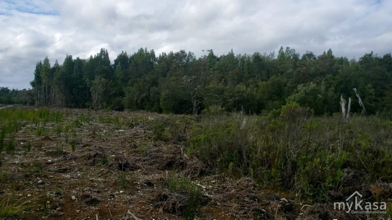 PARCELA DE 5.000 EN DALCAHUE 